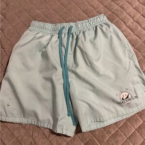 Nike Light Teal Drawstring Swim Shorts